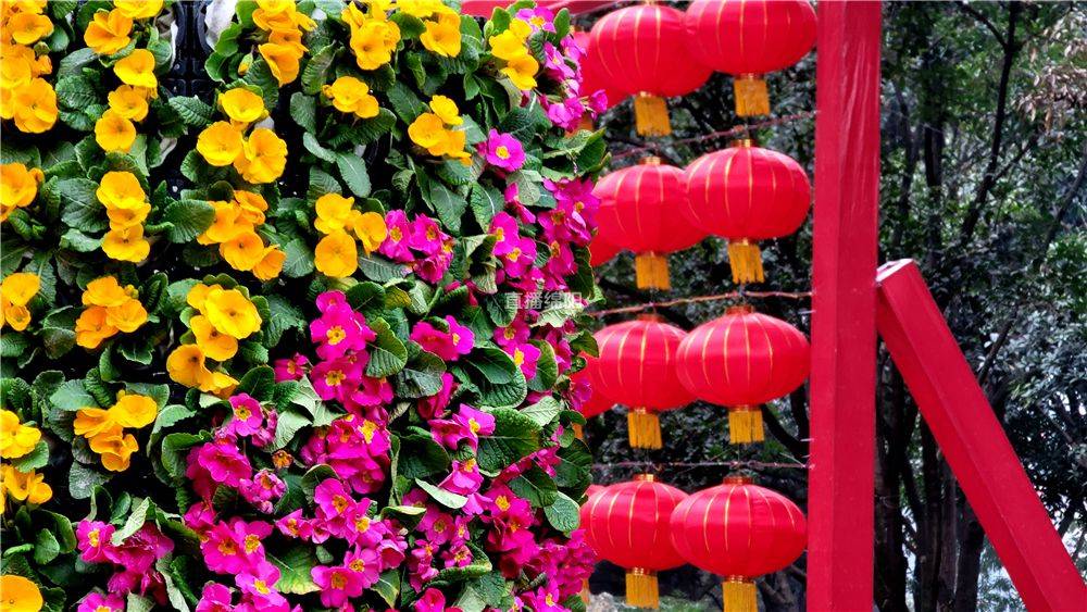 绵阳公园“气氛组”上线，每一处都是新年网红打卡地！