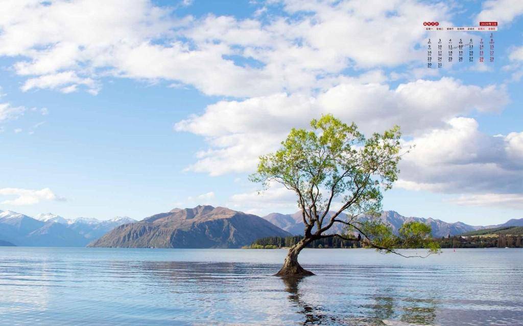 十二星座2021年运势,运程大全_十二星座