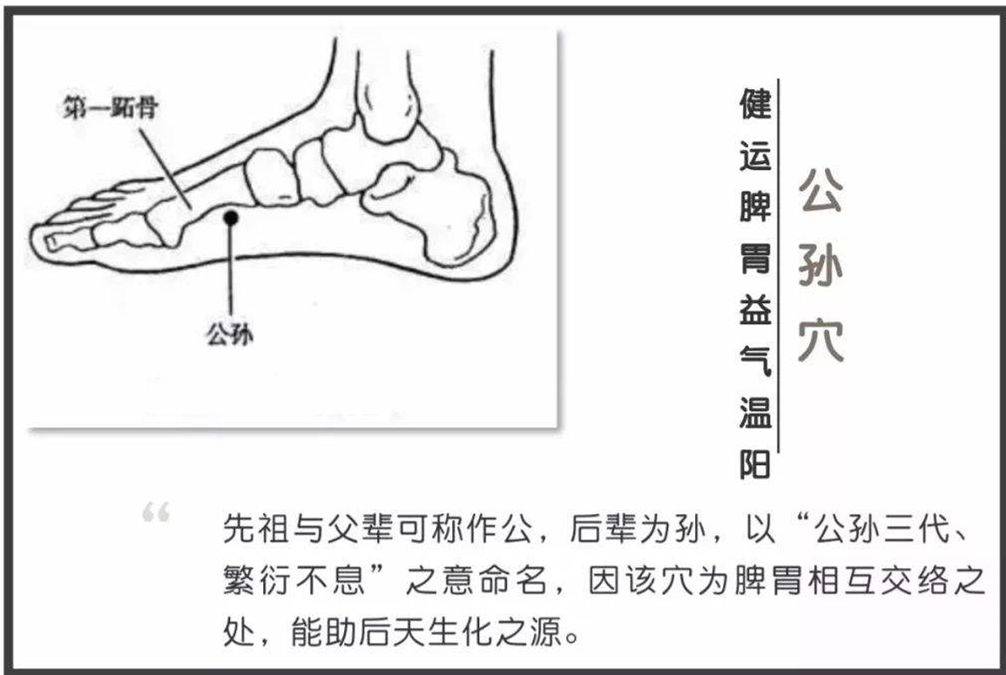 3,治消化不良,胃反酸,妇科病:灸公孙穴