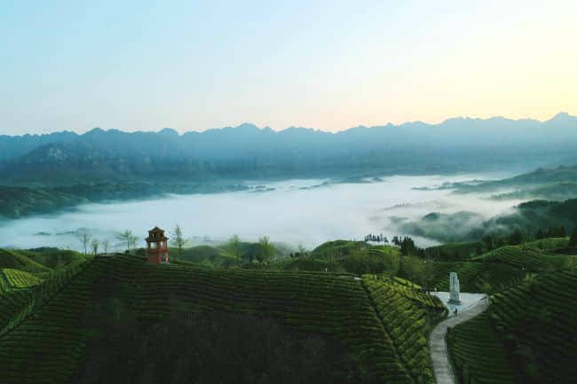 美轮美奂“世界茶谷”鹤峰木耳山茶场(美图)