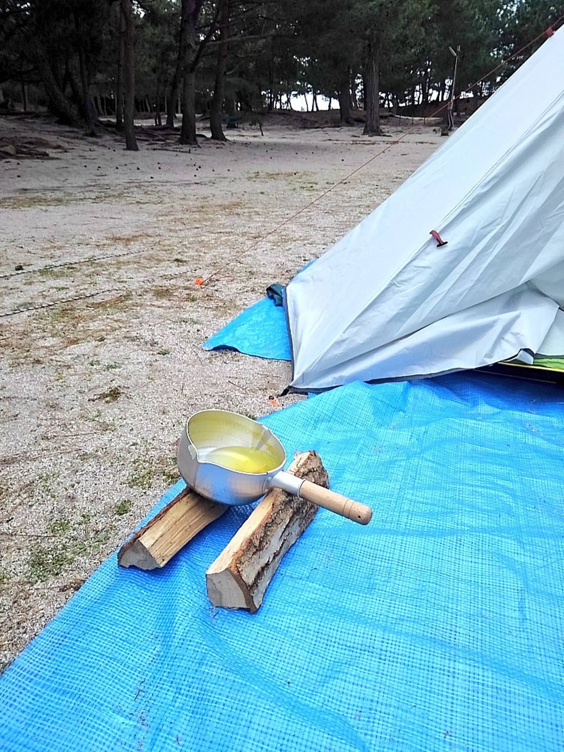 野外露营，却遭遇6只流浪猫潜入帐篷“抢劫”，被迫以失败告终