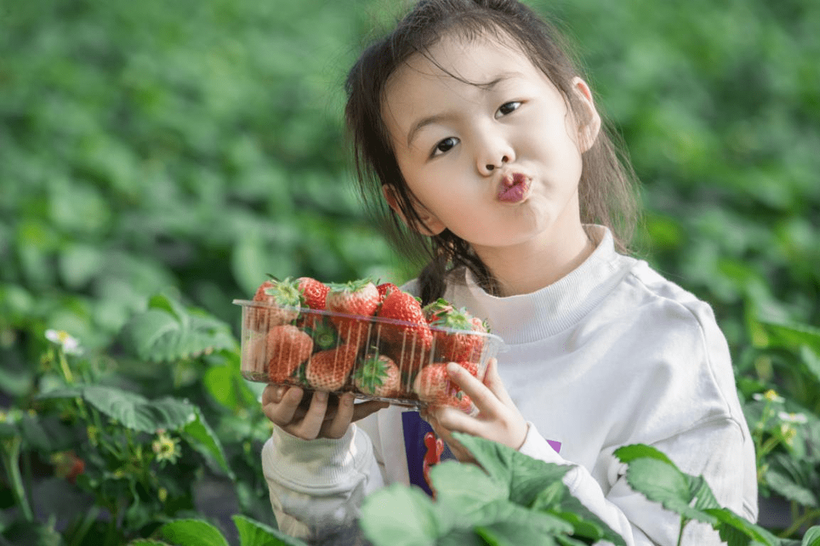 满园春色，喜迎正月——来三寰牧场体验鲜味儿新年