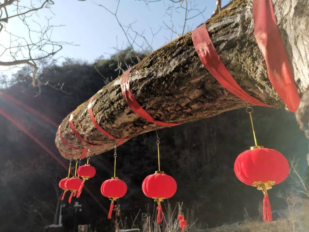 【创建天府旅游名县】看去年水磨沟灯笼高高挂，今年再来朝天旅游