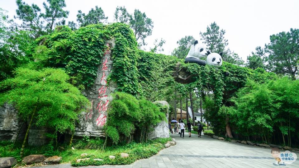 全国首个大熊猫落户的县级基地，有一座中国一流的竹子专业博物馆