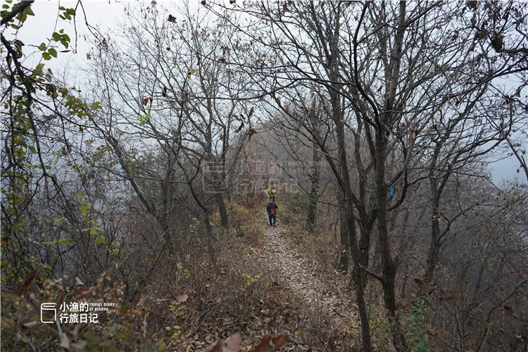 探秘亚美西安娱乐秦岭无人村，风景很美，村里却一个人都没有