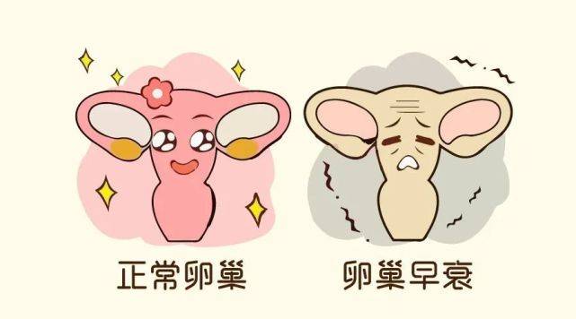 "卵巢早衰"!只因一个大多数女生都有的坏习惯!