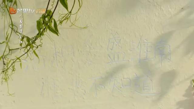 枳与橘的区别 27b216cc70ac4774bd239bce705b324b.jpeg