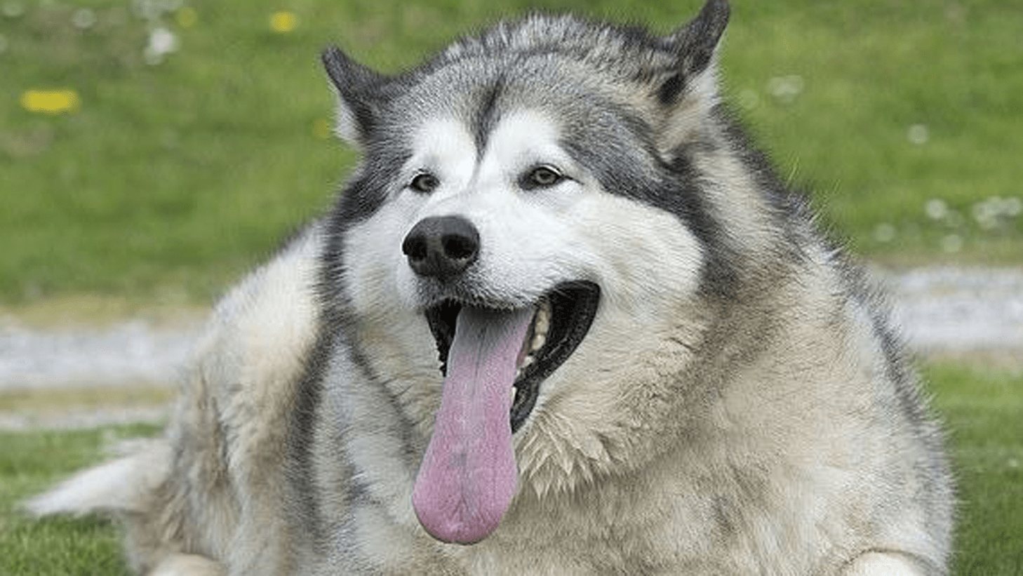 7d6d1e8dedb347b69a93a2bf7874ea6e.png