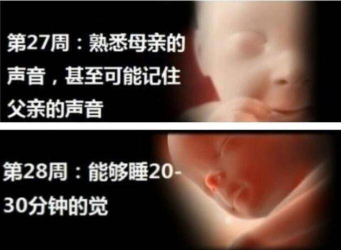 怀孕一个月肚子鼓鼓的正常吗 a3960bfad55849c28bb405e02046ca37.jpeg