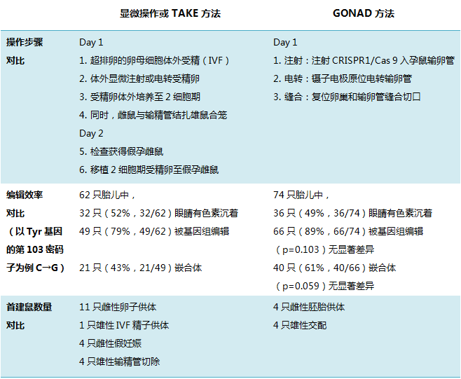 品系|【转发】i-GONAD技术，开启原位基因编辑胚胎的新征程