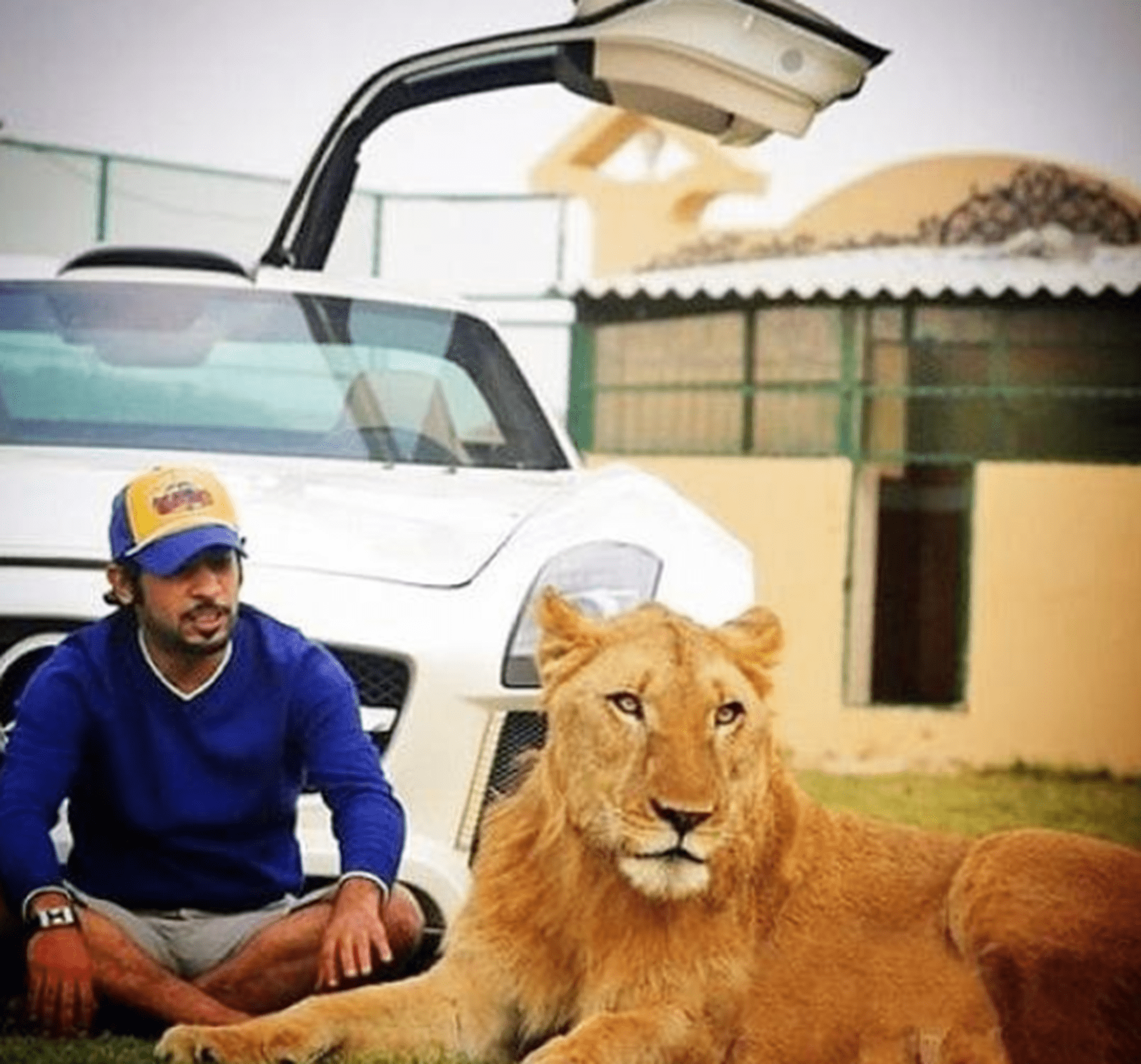 迪拜富二代晒宠物结果身后豪车亮了有钱人的世界真是无法理解