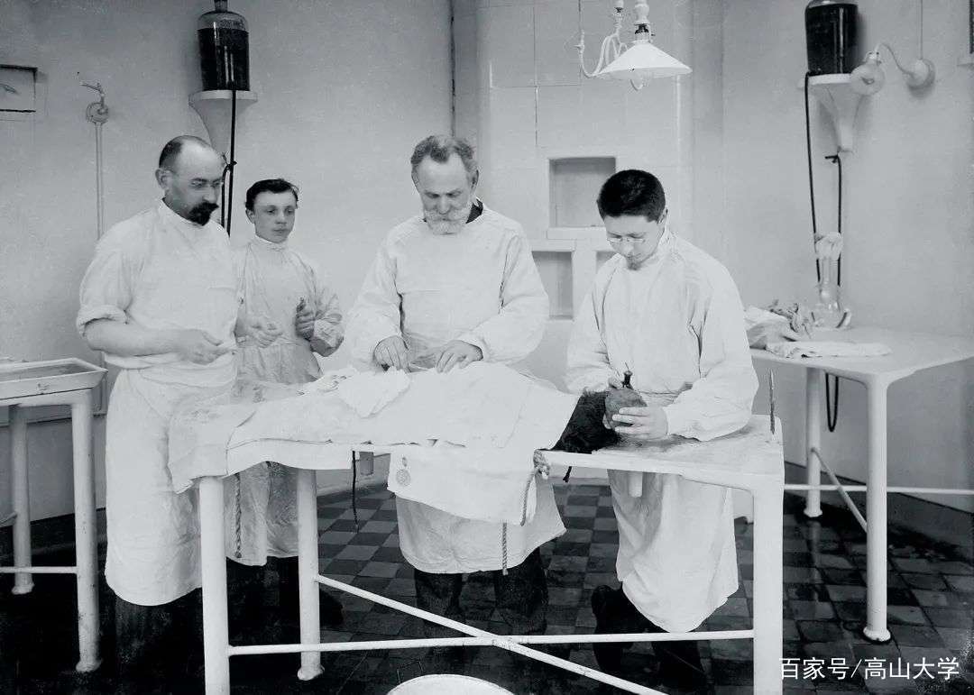 虐狗、偷狗与爱狗,巴甫洛夫与40条狗共渡的实验时光_手术