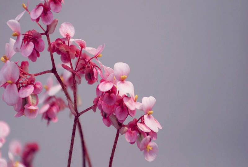 a6684de0a4db4a37a31511ae1c2965fb.jpeg