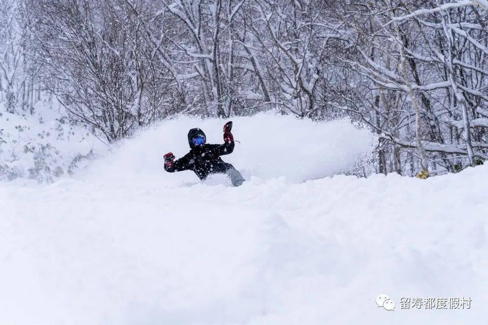 去北海道最大滑雪场留寿都滑雪，掌握这些信息是攻略成功的关键