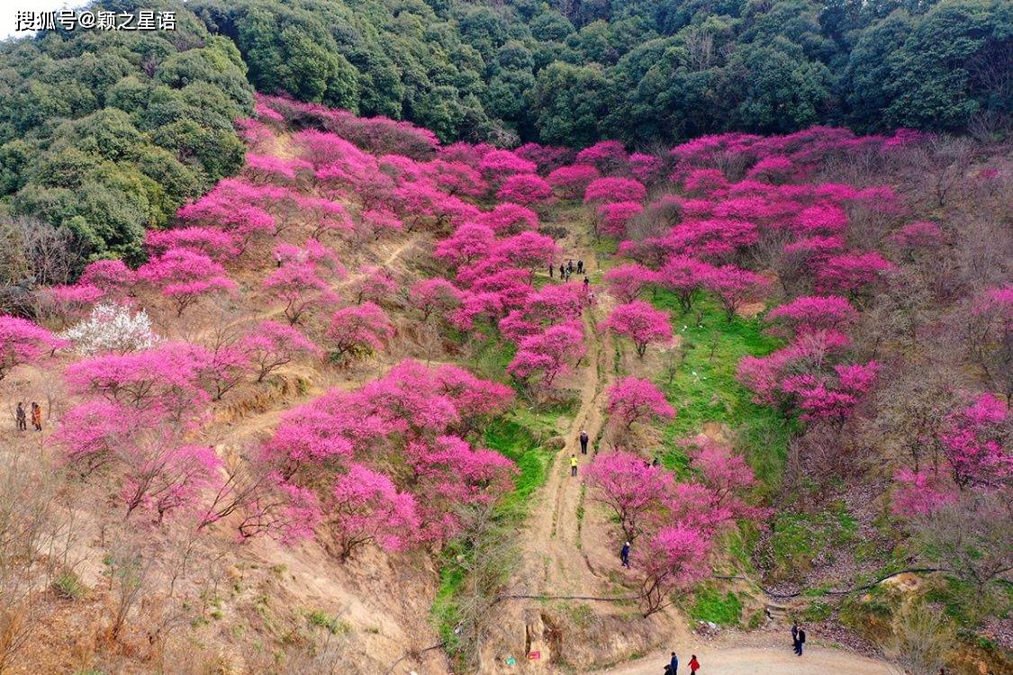 奉化松岙人口_奉化松岙恒大海景