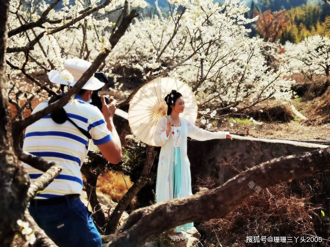 李花开 广州这个称 小林芝 的乡村 六大看点 一天时间不够玩 桂峰村