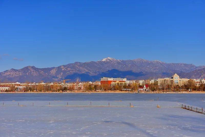 海陀戴雪图片