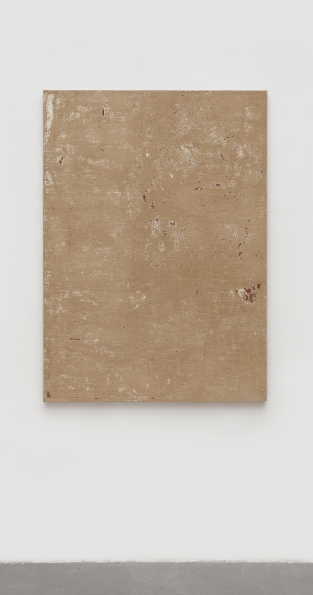 李钢——"裸色"绘画的物质性