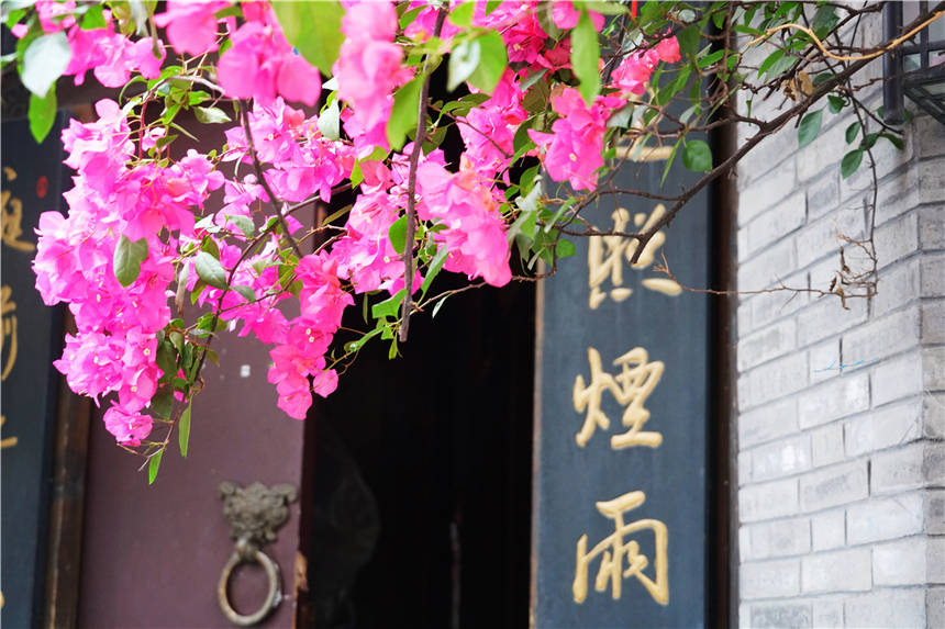 四川成都有几条文艺小巷子，建于清朝，是外地游客最爱逛的地方