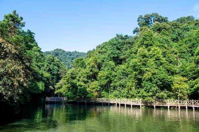 柳州有个超纯净的景区，流水潺潺是天然氧吧，快来此体验原始生活