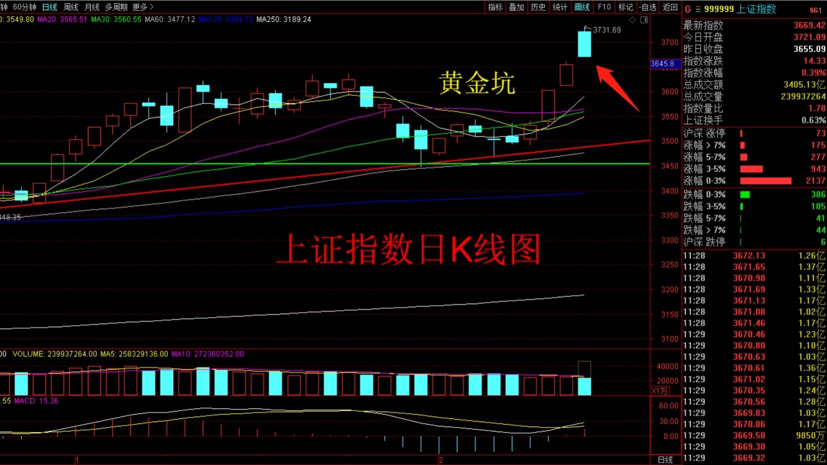 股市午评:指数高开低走收出放量大阴线,远离部分高位抱团股!