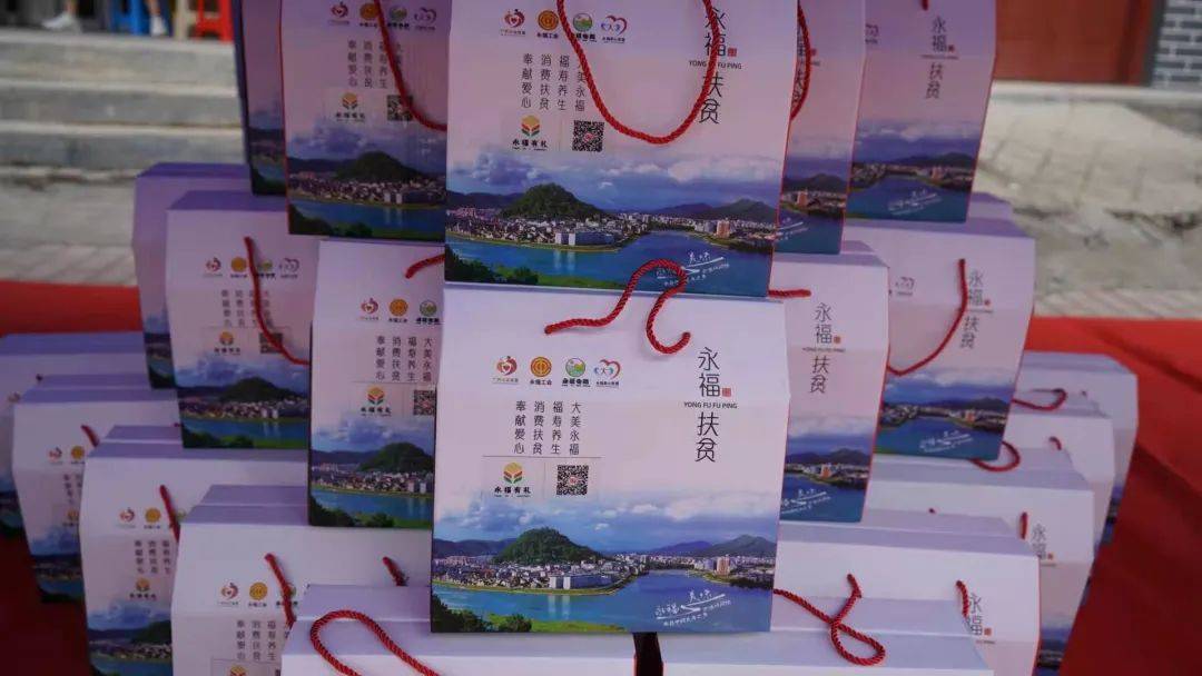 永福县百寿镇经济总量_永福县堡里镇抗洪图片(3)