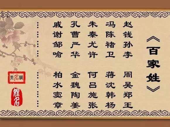 庄姓人口姓_人口普查(3)