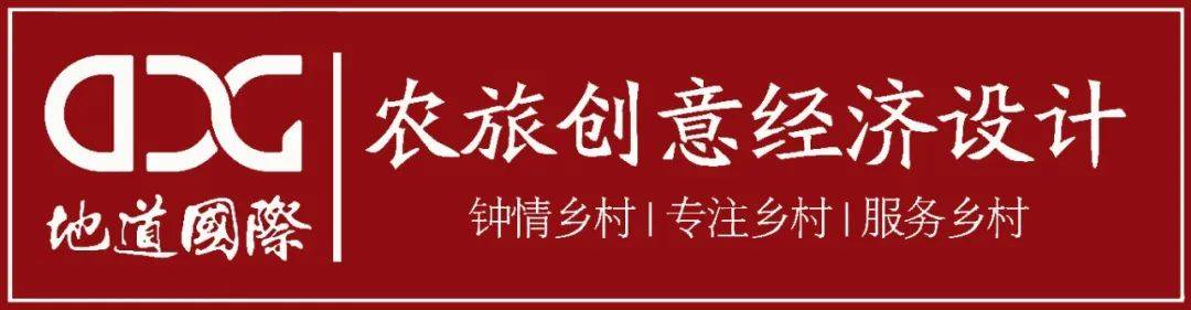 没钱、没文化、没资源，她的乡村振兴为什么这么红火？