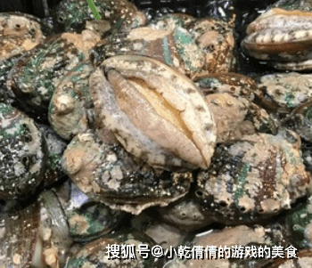 怎么挑选新鲜鲍鱼 0719d92838104cfe8c3f46d9ac636484.png
