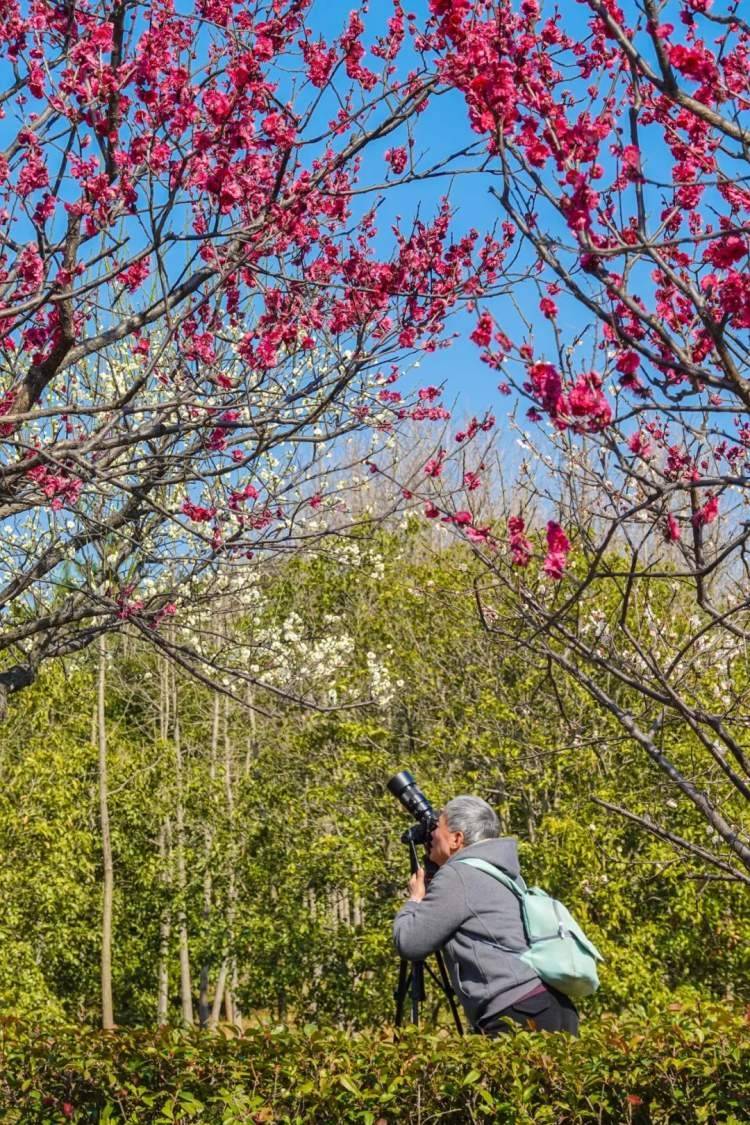 终于等到你这朵朵的春光烂漫爱申活暖心春