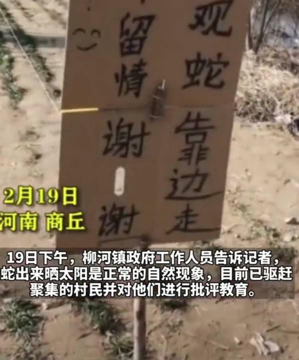 负土什么坟成语_成语故事简笔画(4)