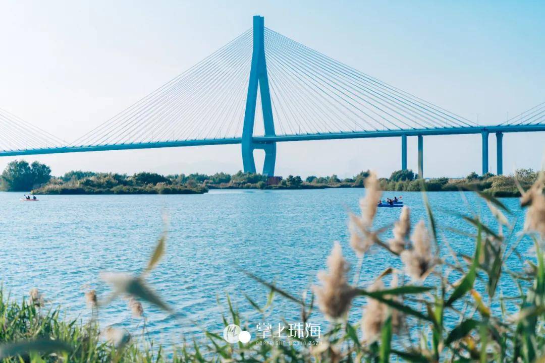 39亿的大桥当背景！珠海独家海景省级湿地公园，春节免费逛！