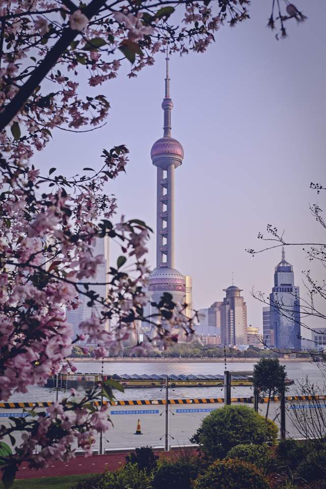 好片|怪不得手机拍照比相机难出好片，镜头焦段影响很多