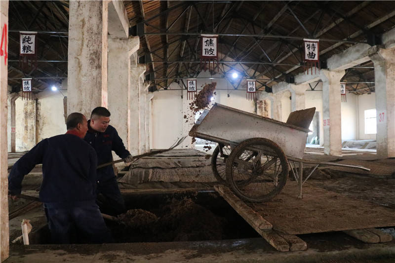 2021焦陂春酿第一杯邀您共品赏_酿酒