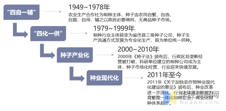我国种业发展历程从发展阶段历程看,我国种业的发展共经历了"四自一辅