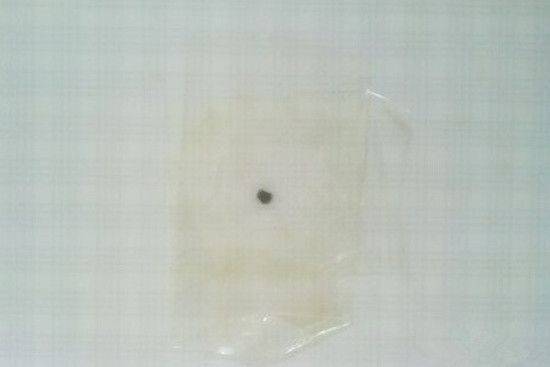 瓷砖上怎么打孔瓷砖不会裂 e454493e05b849e3a163365692c3648f.jpeg