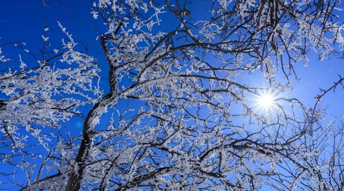 国家再次加码乡村振兴,家电产业如何顺势借政策东风?-家电圈官网