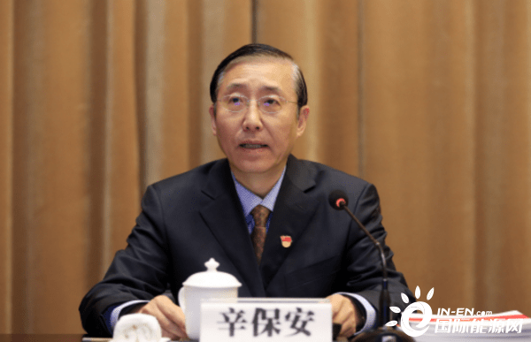 辛保安当好引领者为实现3060目标贡献智慧和力量