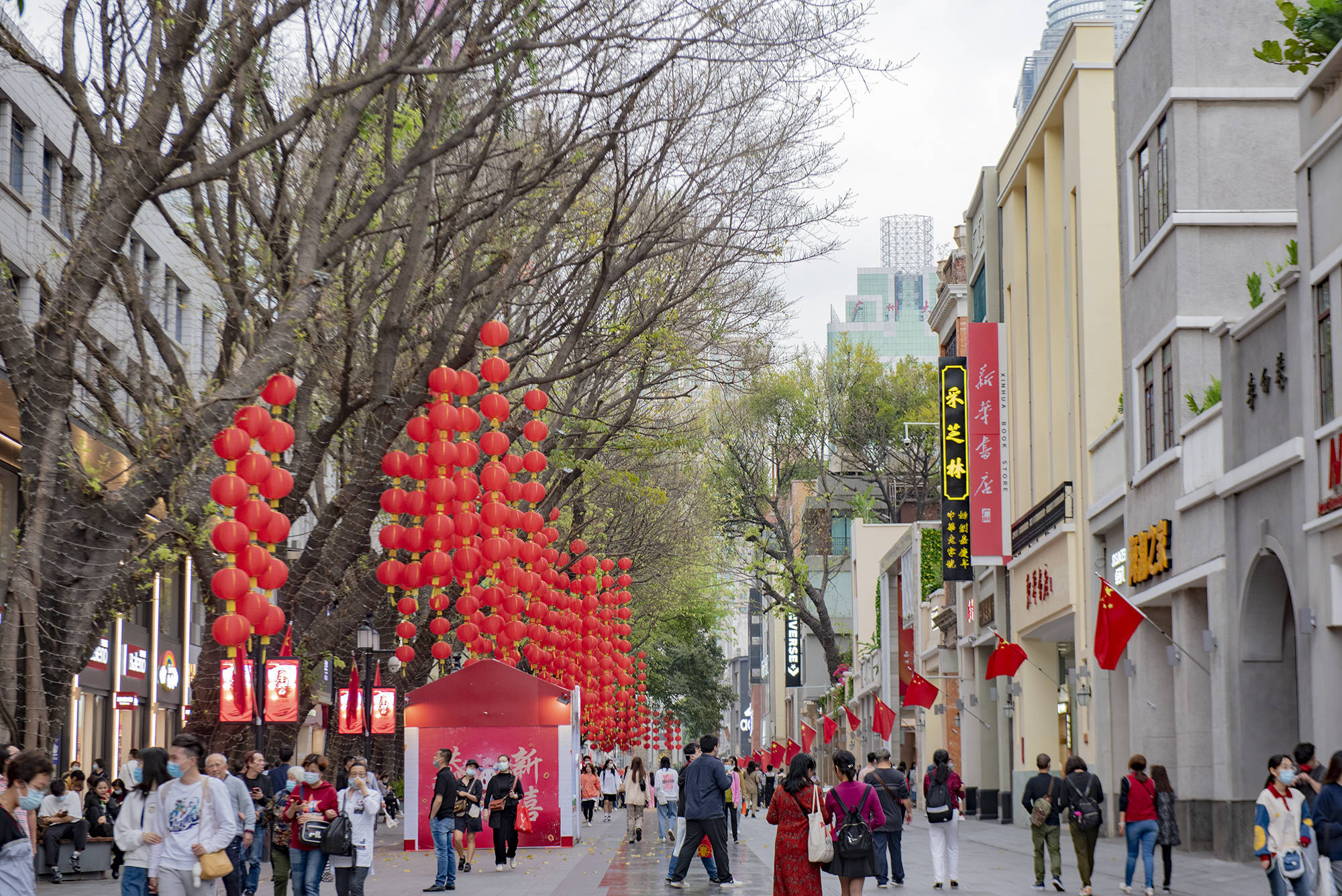 广州北京路一街之隔，又一网红马路出现，在紫荆花掩映下实在太美