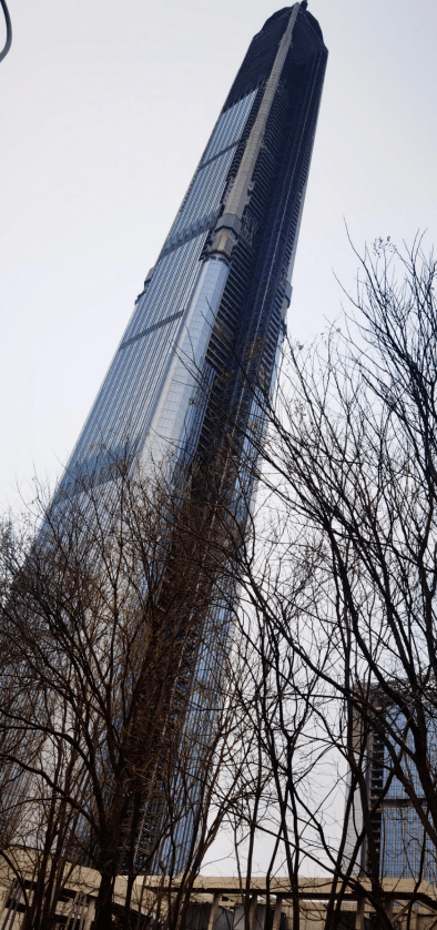 天房天物天钢联合体牛转乾坤117大厦到底复工了吗