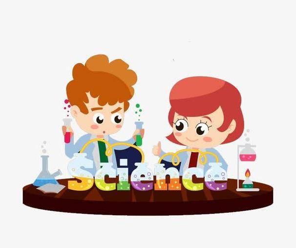 用生物实验照亮初中生物课堂