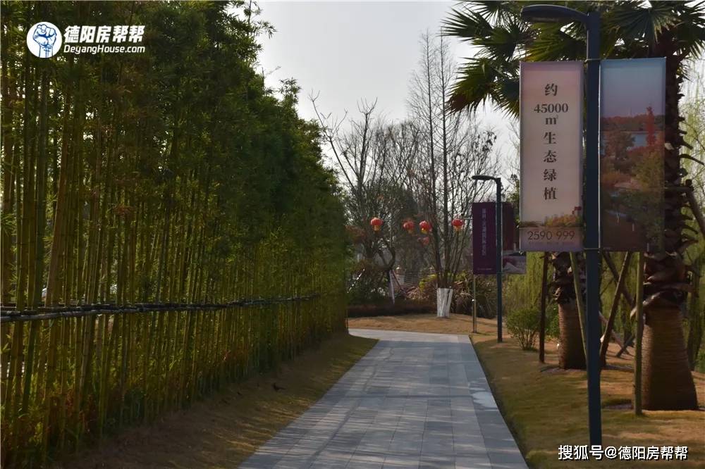 德阳有多少人口_2020德阳人口分布图(3)