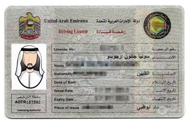 阿联酋比如美国加州,德国,法国,加拿大,意大利这些地区都支持中国驾照