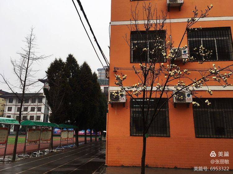 陕西乾县花口初中开展肃作风正教风优学风树新风学习活动