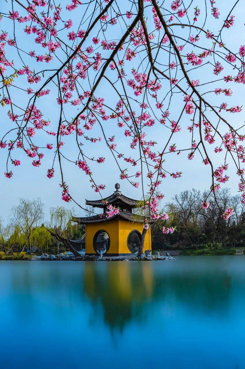 比杭州秀美，比厦门文艺！3月的扬州迎来一年最美的时刻