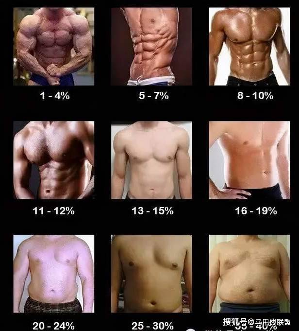 男生体脂率下降到15 身材到底有多好 一张图告诉你 肌肉