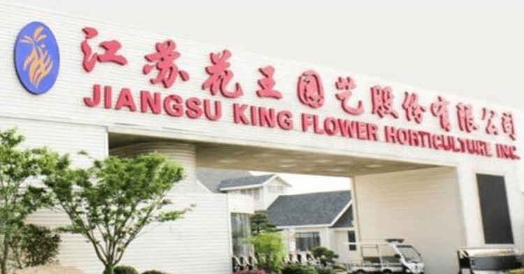 花王股份股东超12亿元债务逾期 股权转让或信