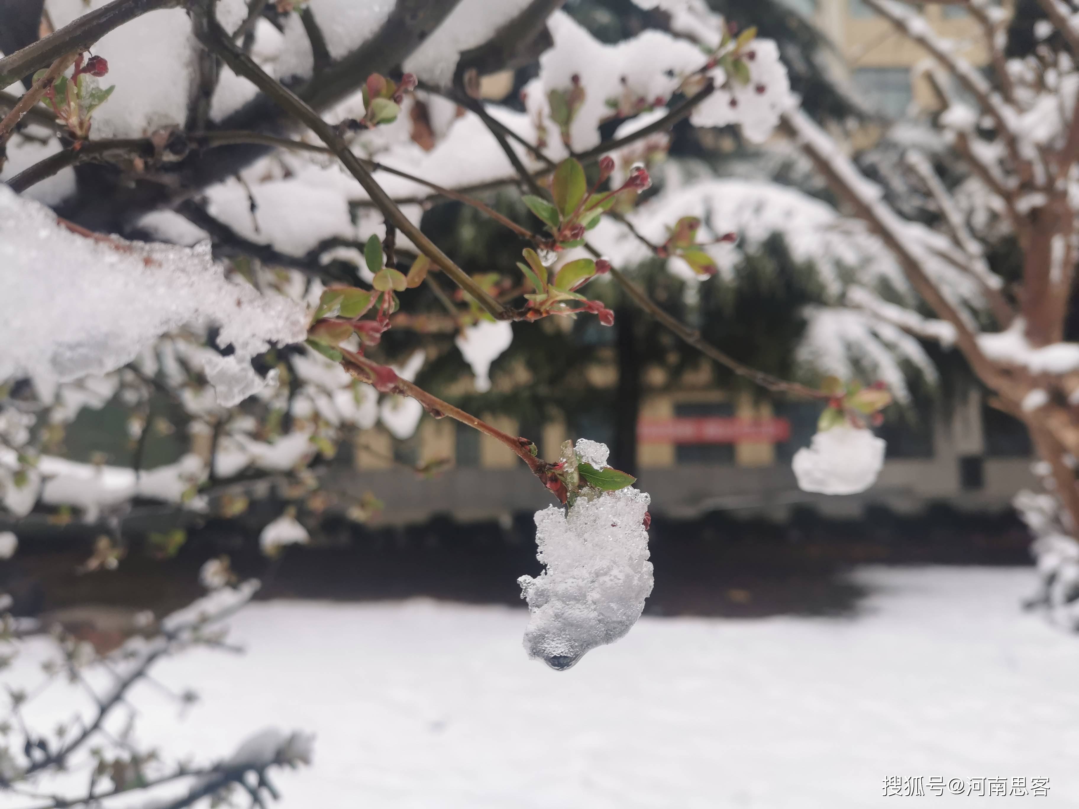 正月十五的烟花 李海波 荐读 小孩子