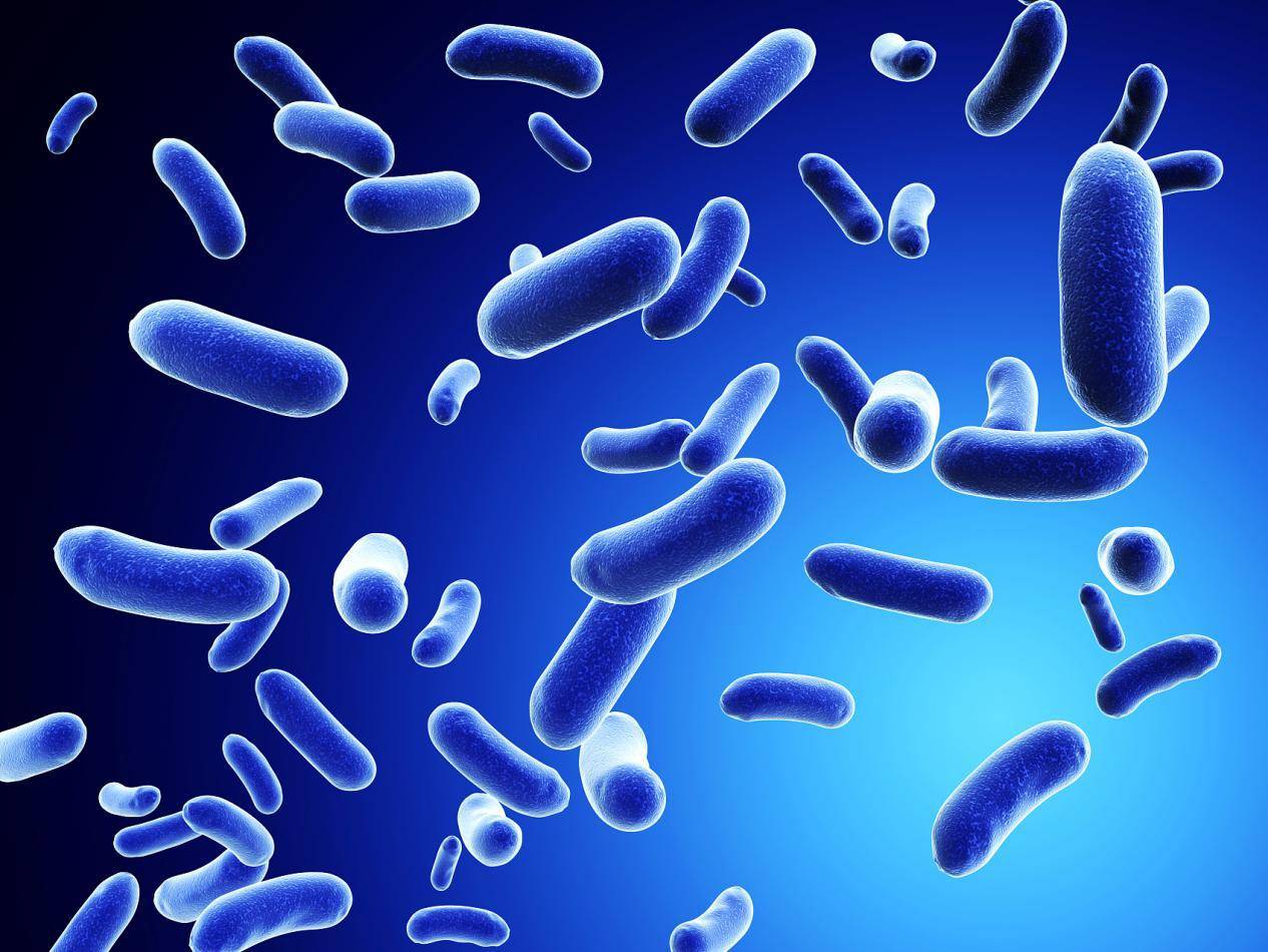 免疫球蛋白ige高是什么原因 e3d993f0c81b42e9817127f22a3d18cc.jpeg