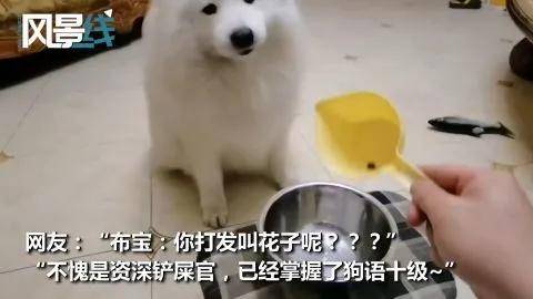 5593ae2c5dfd47cf83a6453c26d7059c.jpeg